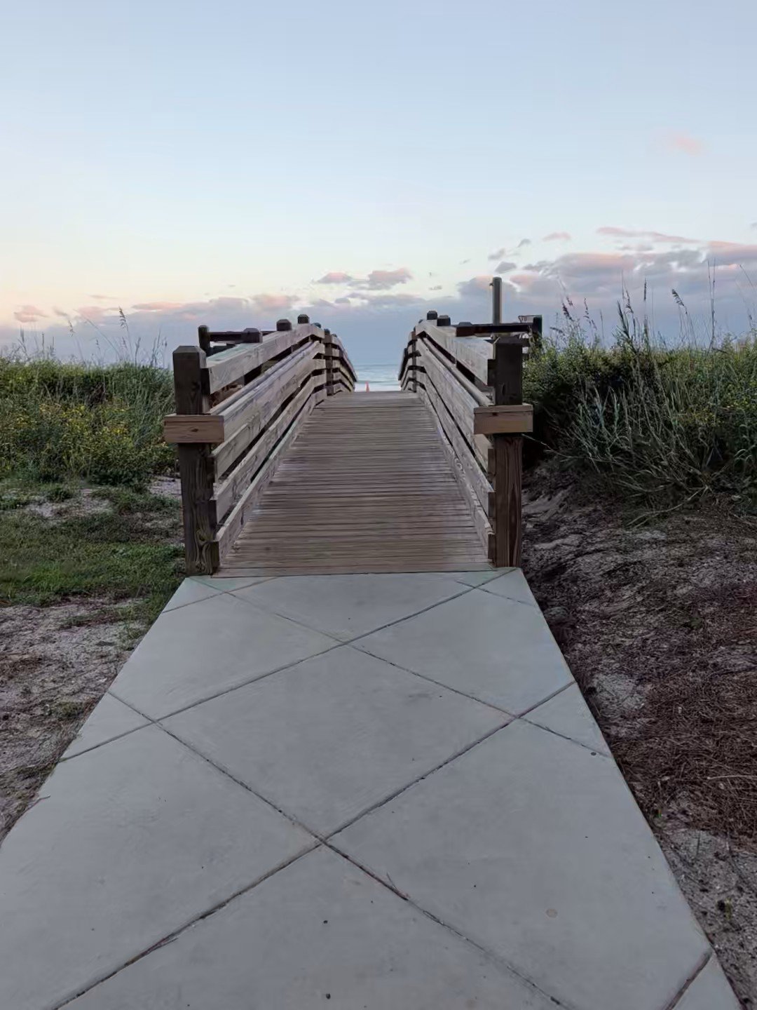 Coastal dunes near Ravenel, SC — the sandy, high-water-table ground that calls for engineered septic systems